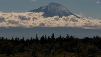 Majestuoso estratovolcán rodeado de nubes cúmulos y un desierto de arbustos.