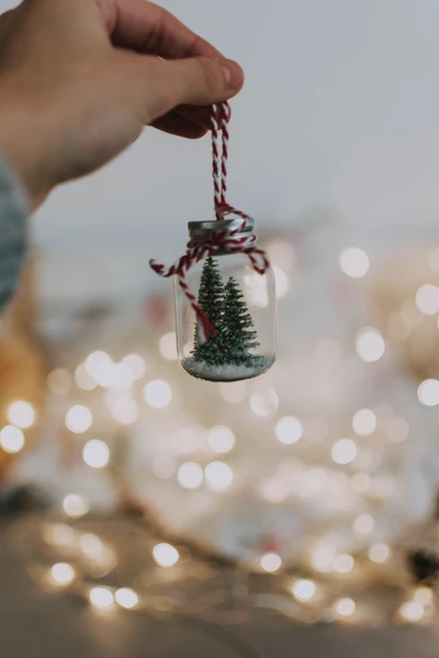 Handheld Mason Jar Christmas Ornament with Miniature Green Trees and String Lighting