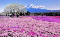 Lebendige lila Wildblumen vor dem Berg Fuji im Frühling