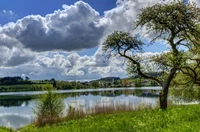 pintura de paisajes, paisaje, naturaleza, reflexión, nube