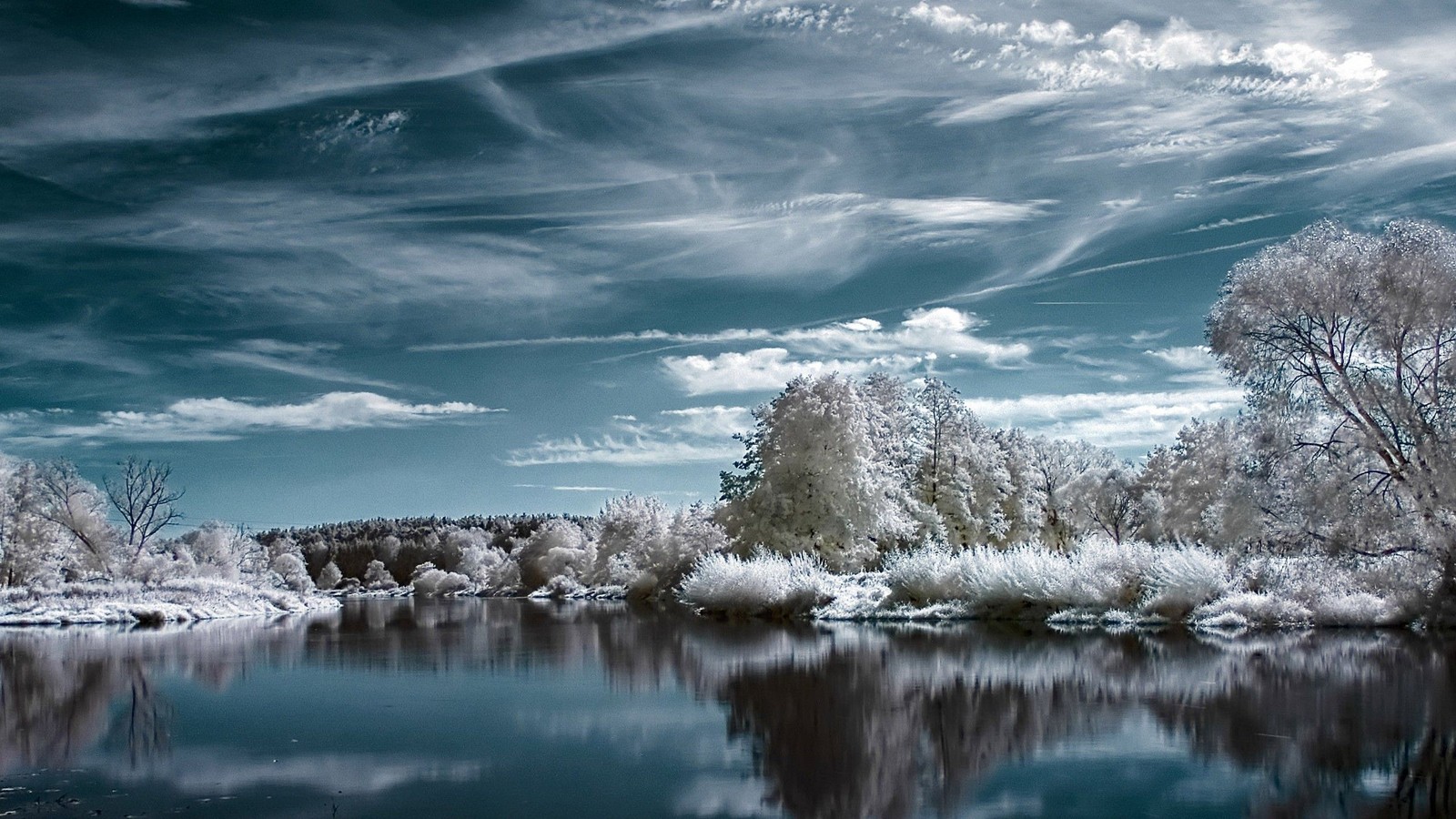 Trees are reflected in the water of a lake with a sky background (nature, water, reflection, cloud, winter)