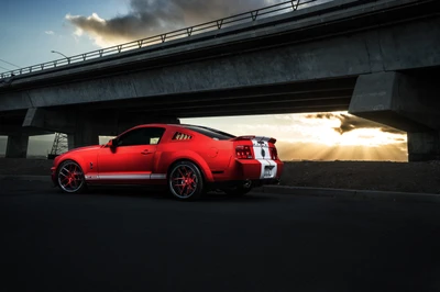 Shelby Mustang unter einem dramatischen Himmel, der sein schlankes Design und seine kraftvolle Haltung zeigt.