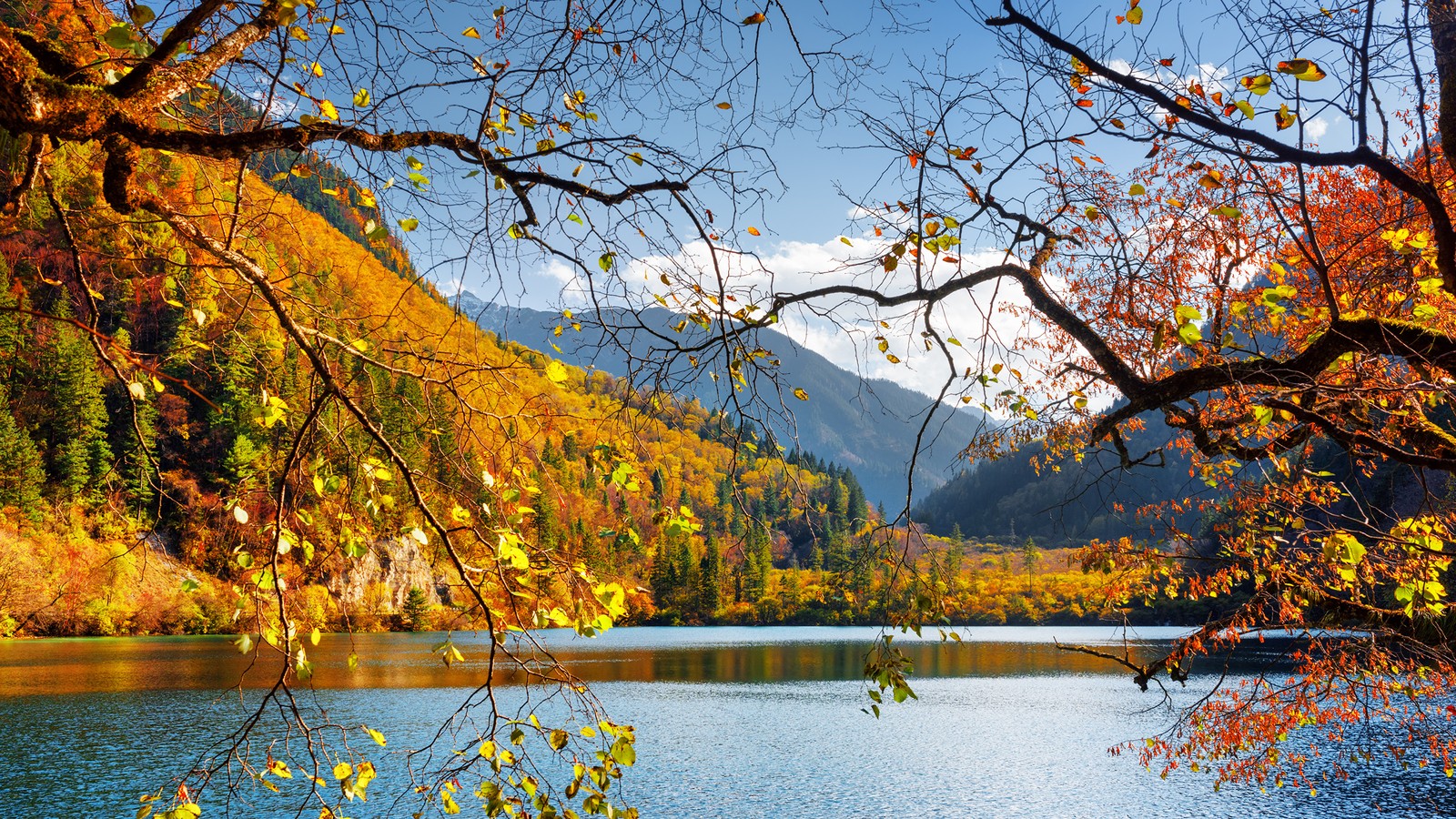 Un lago rodeado de árboles con follaje de otoño y montañas al fondo (árbol, naturaleza, hoja, otoño, ramo)