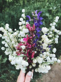 Ein lebendiger Blumenstrauß mit Flieder, weißen Blüten und bunten floralen Akzenten, der eine schöne Anordnung blühender Pflanzen zeigt.