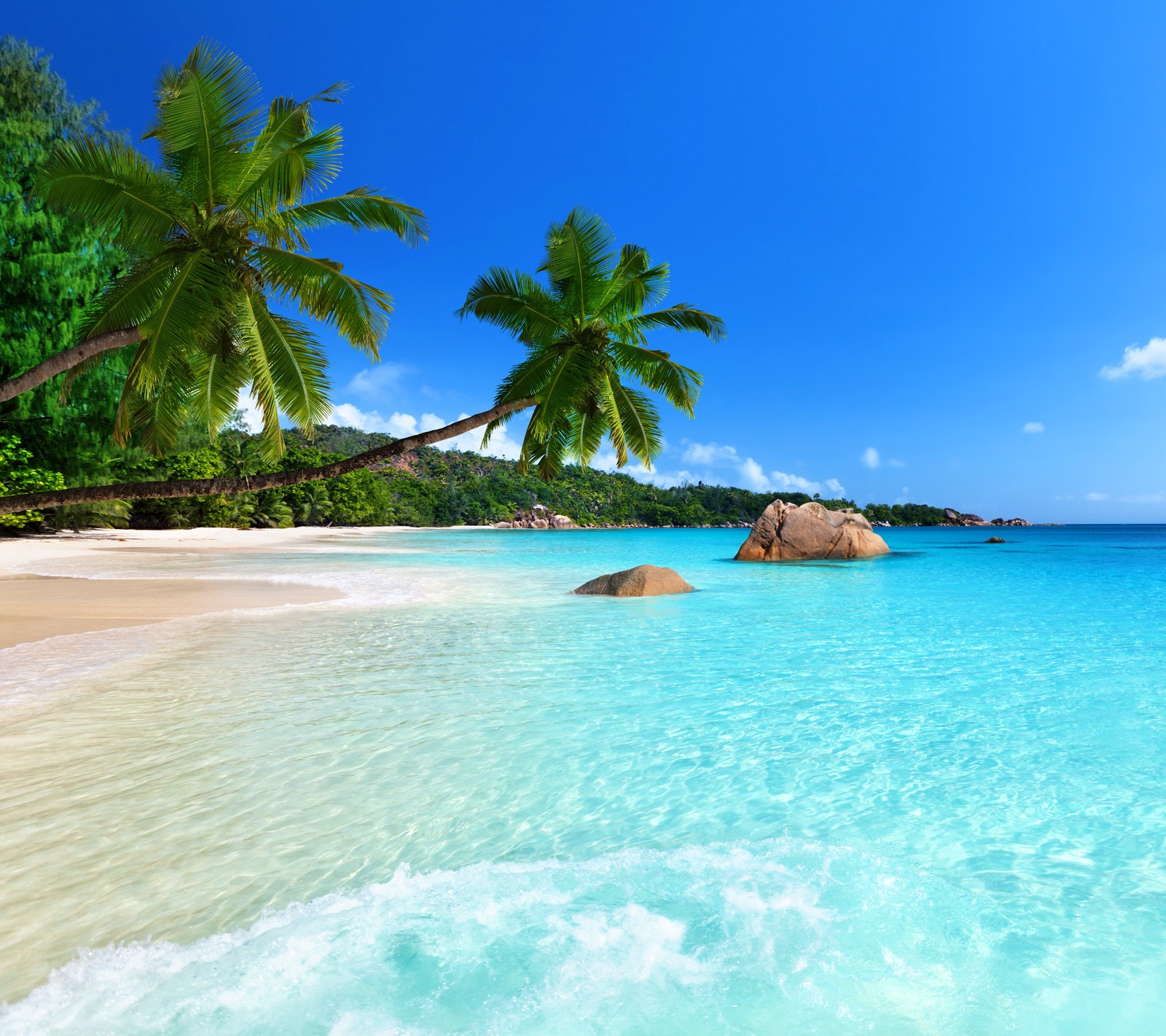 Une vue d'une plage avec des palmiers et une eau bleue claire (plage, bleu, nature, palmiers, rochers)