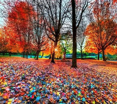 Lebendige Herbstlandschaft mit buntem Laub und Sonnenlicht