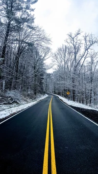 Estrada de inverno curva através de árvores cobertas de neve