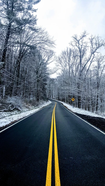 Estrada de inverno curva através de árvores cobertas de neve