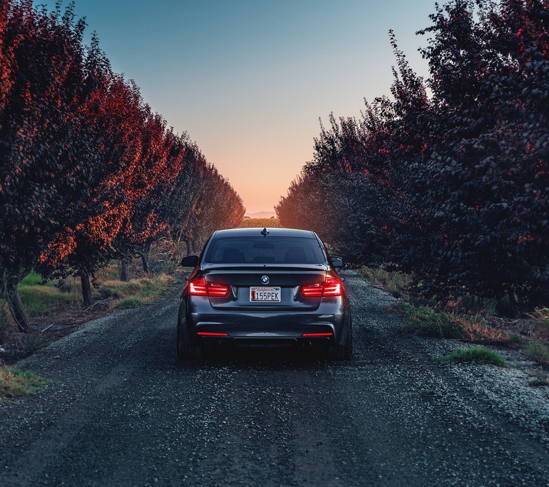 Черный автомобиль, припаркованный на грунтовой дороге в лесу (синий, bmw, bmwm3, машина, машины)