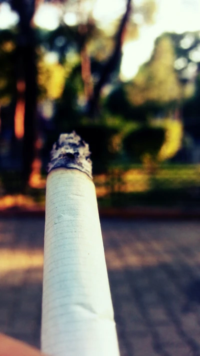 Smoke and Serenity: A Cigarette Amidst Nature