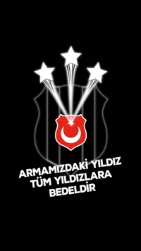 ay, besiktas, bjk, black, eagle wallpaper