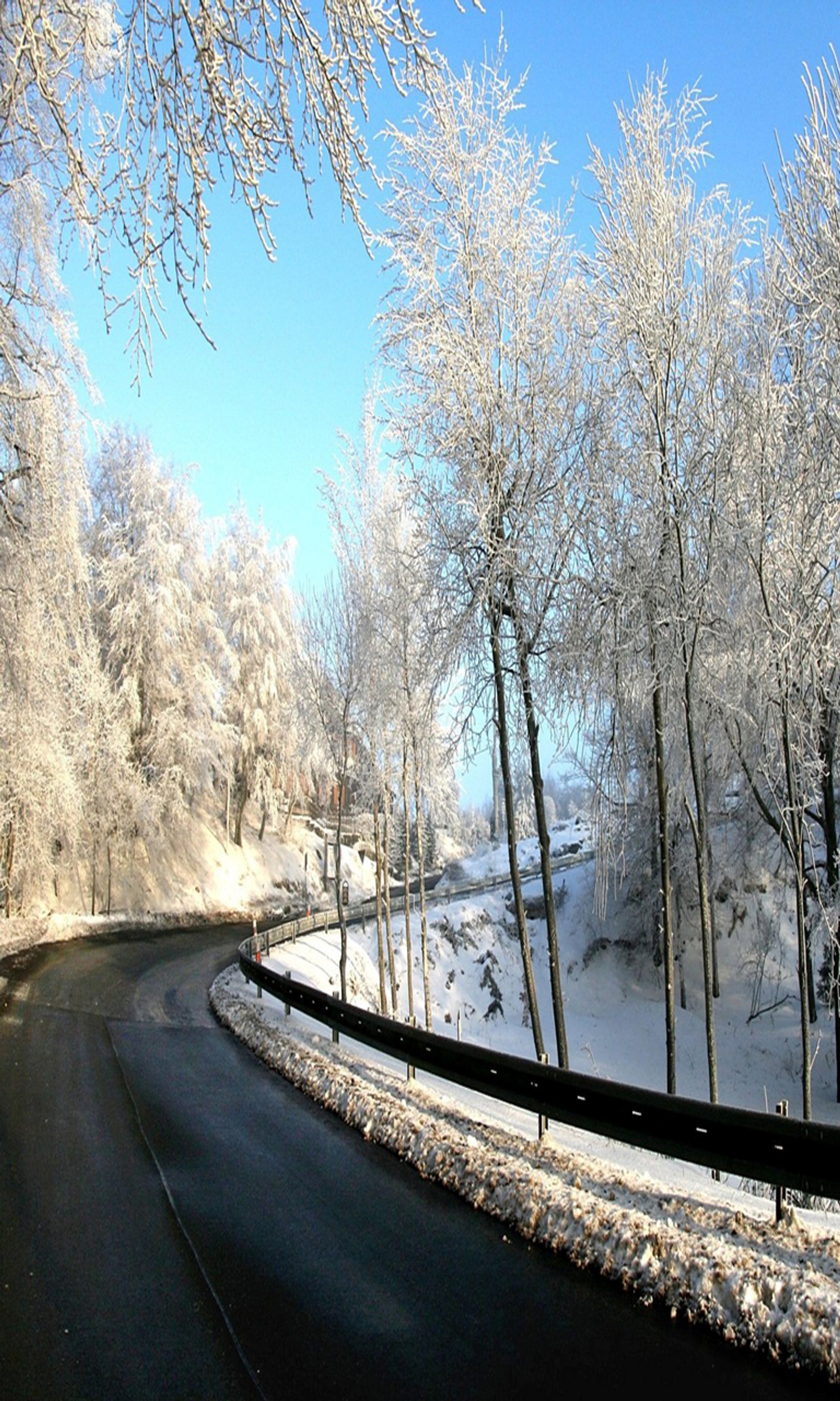 Снежные деревья вдоль дороги на фоне синего неба (cool landscape, крутая природа, пейзаж, природа, путь)