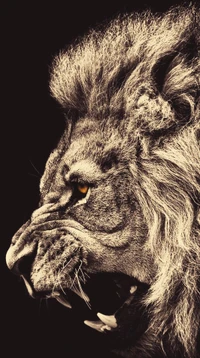 Download lion, wallpaper for free