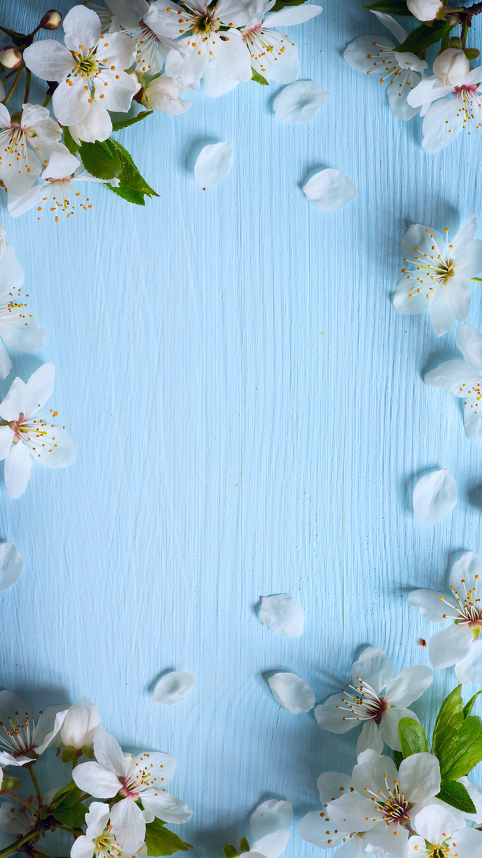 Hay un fondo azul con flores y hojas blancas (floral, flores, flor, vintage, blanco)