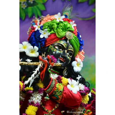 Shree Krishna orné de guirlandes florales et de couleurs vives