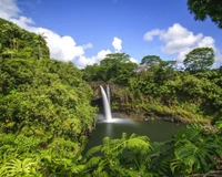 Chute d'eau sereine se déversant dans un lac forestier luxuriant au lever du soleil