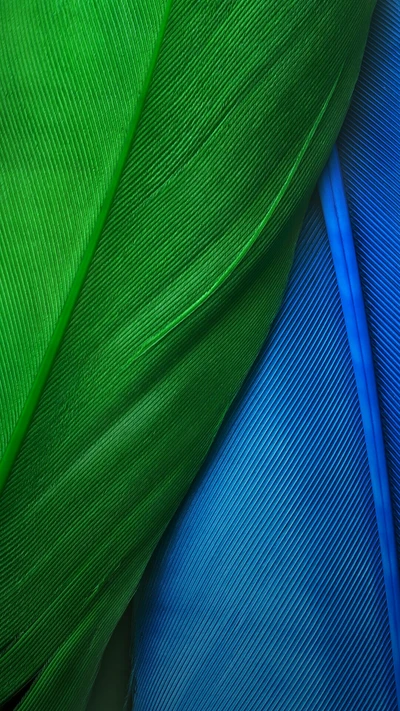 1080p, blue, default, feathers, green