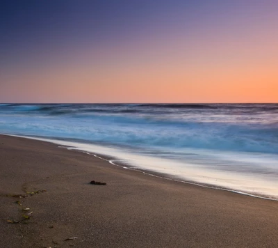 Serene Shoreline at Sunset