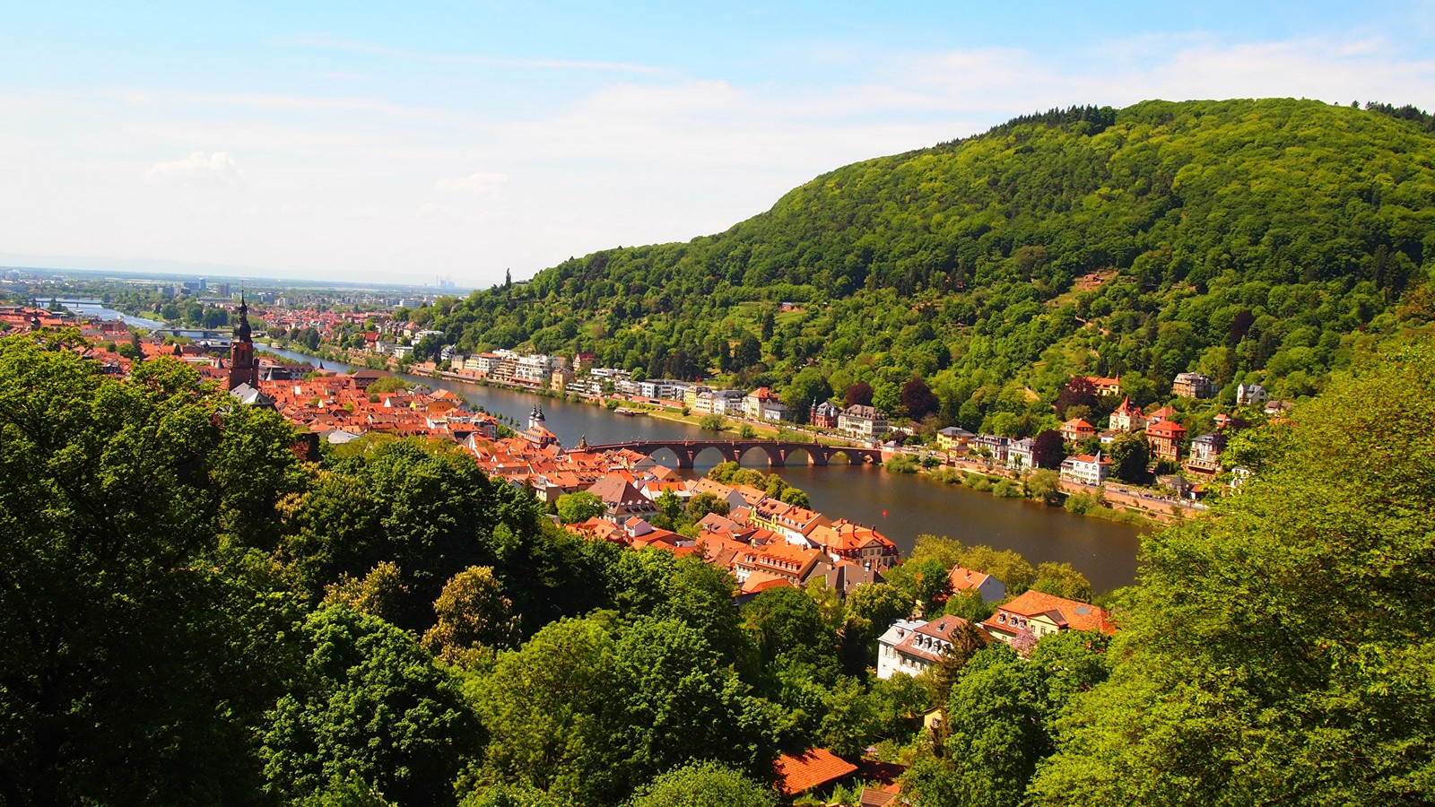 landscape, cityscape, nature, vegetation, river wallpaper