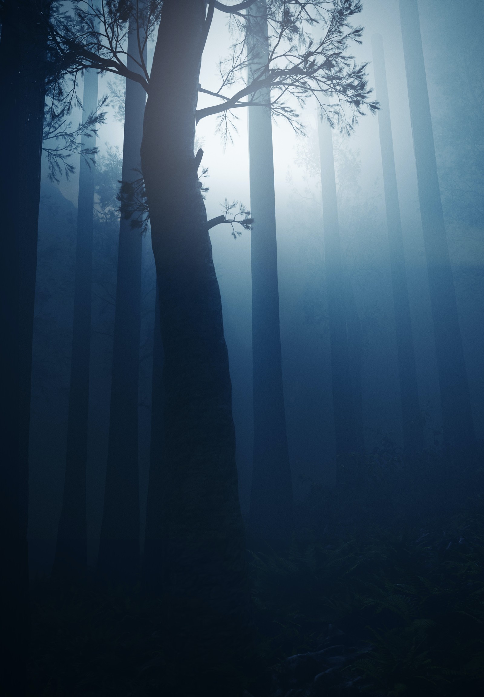 Hay un árbol que está en medio de un bosque (atmósfera, agua, puente, planta, madera)