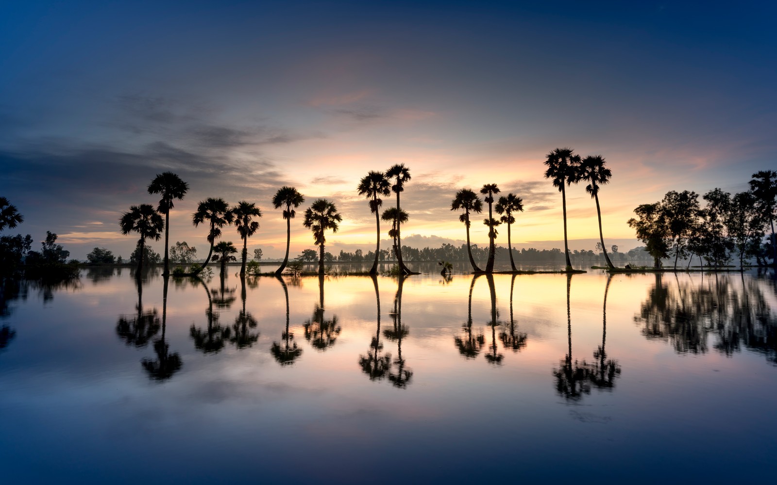 Descargar fondo de pantalla palmeras, silueta, 8k, reflexión, cuerpo de agua