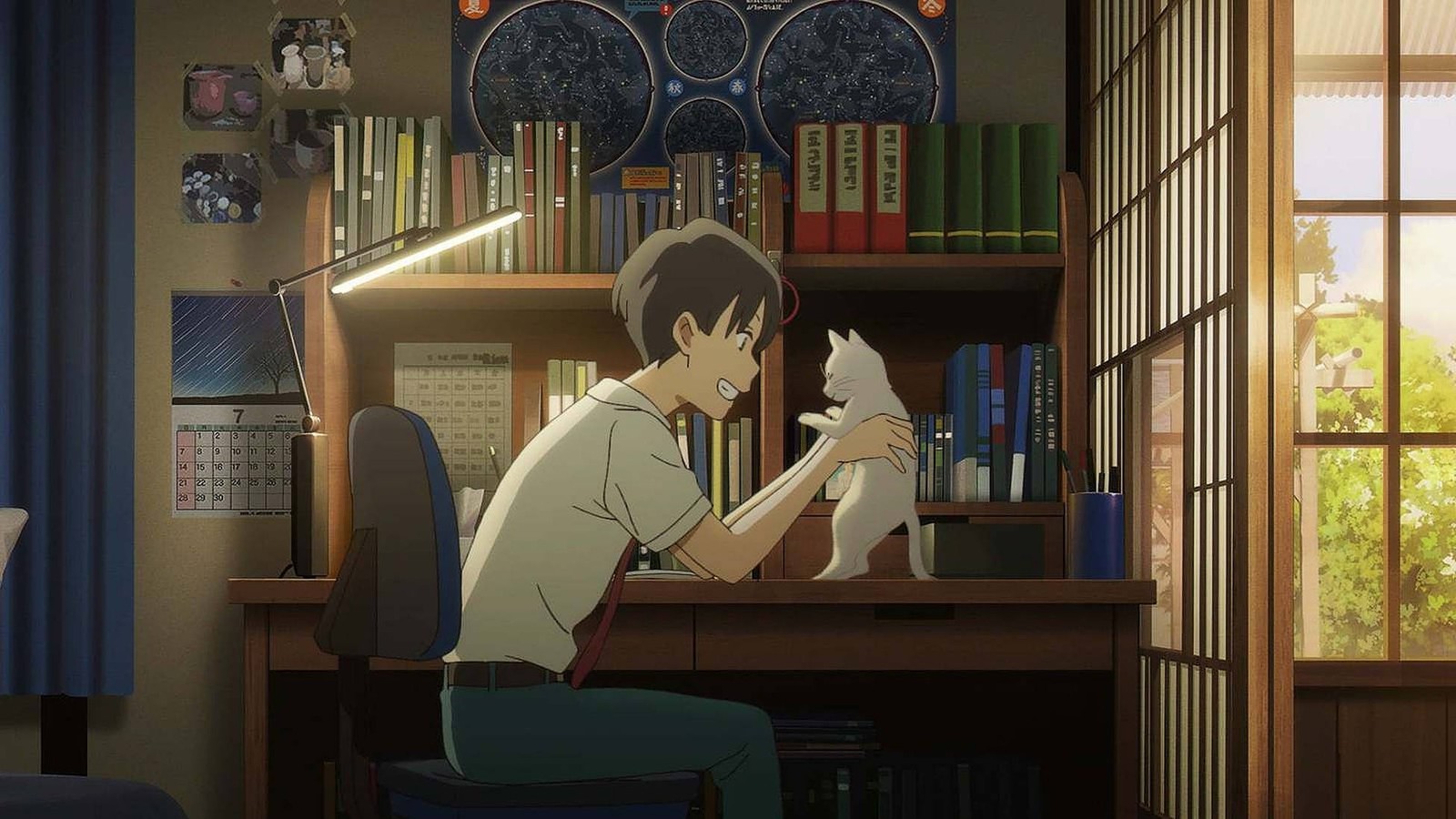 Un chico de anime sentado en un escritorio con un gato en su regazo (netflix, caricatura animada, animación, muebles, estante de libros)