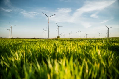 Prairie vibrante avec des éoliennes sous un ciel dégagé