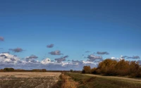 cloud, tree, plain, horizon, sky wallpaper