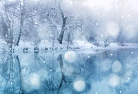 Paisaje invernal sereno: árboles cubiertos de nieve y reflejos en un lago helado