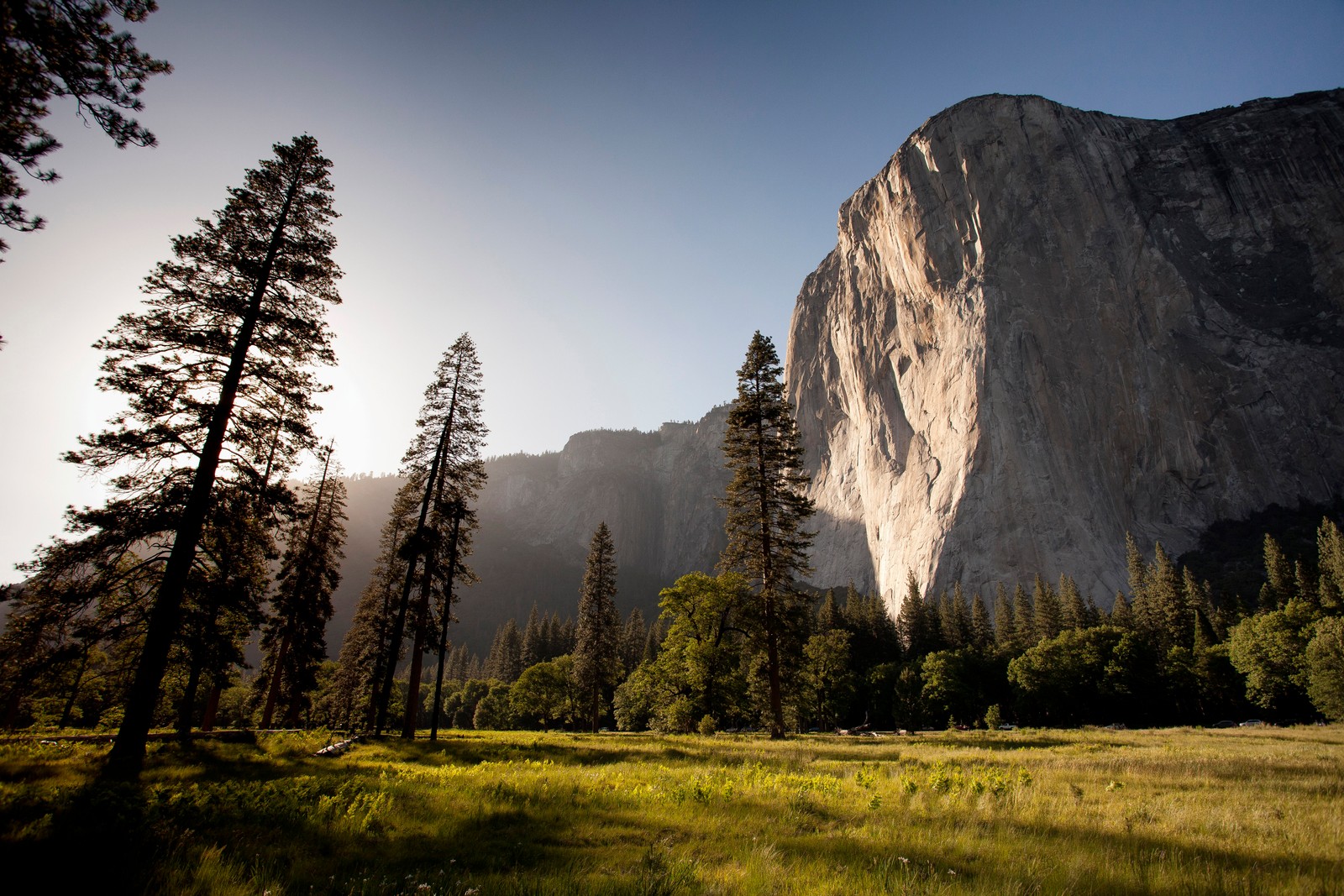 Trees and grass in front of a mountain with a clear sky (el capitan, os x el capitan, nature, mountainous landforms, tree)