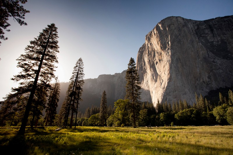 Деревья и трава перед горой с ясным небом (эль капитан, el capitan, ос х эль капитан, os x el capitan, природа)