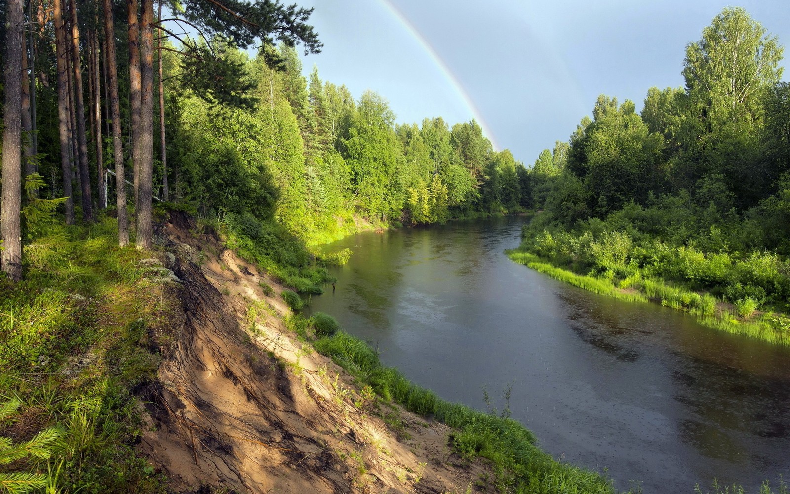 Вид радуги над рекой в лесу (водные ресурсы, природа, река, пойменная зона, банк)