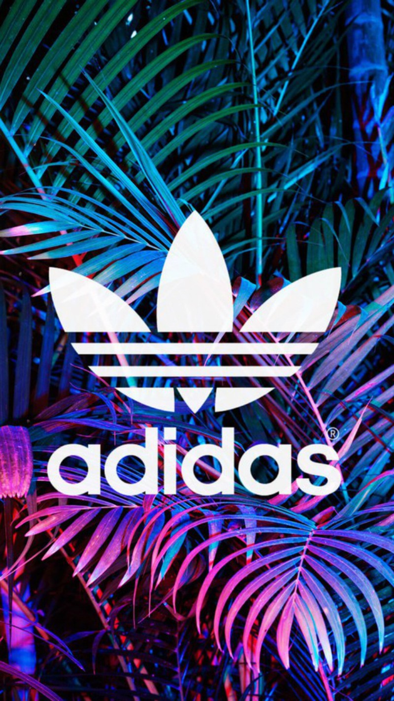 Логотип adidas на тропическом фоне с пальмовыми листьями (бренд, логотип, природа)