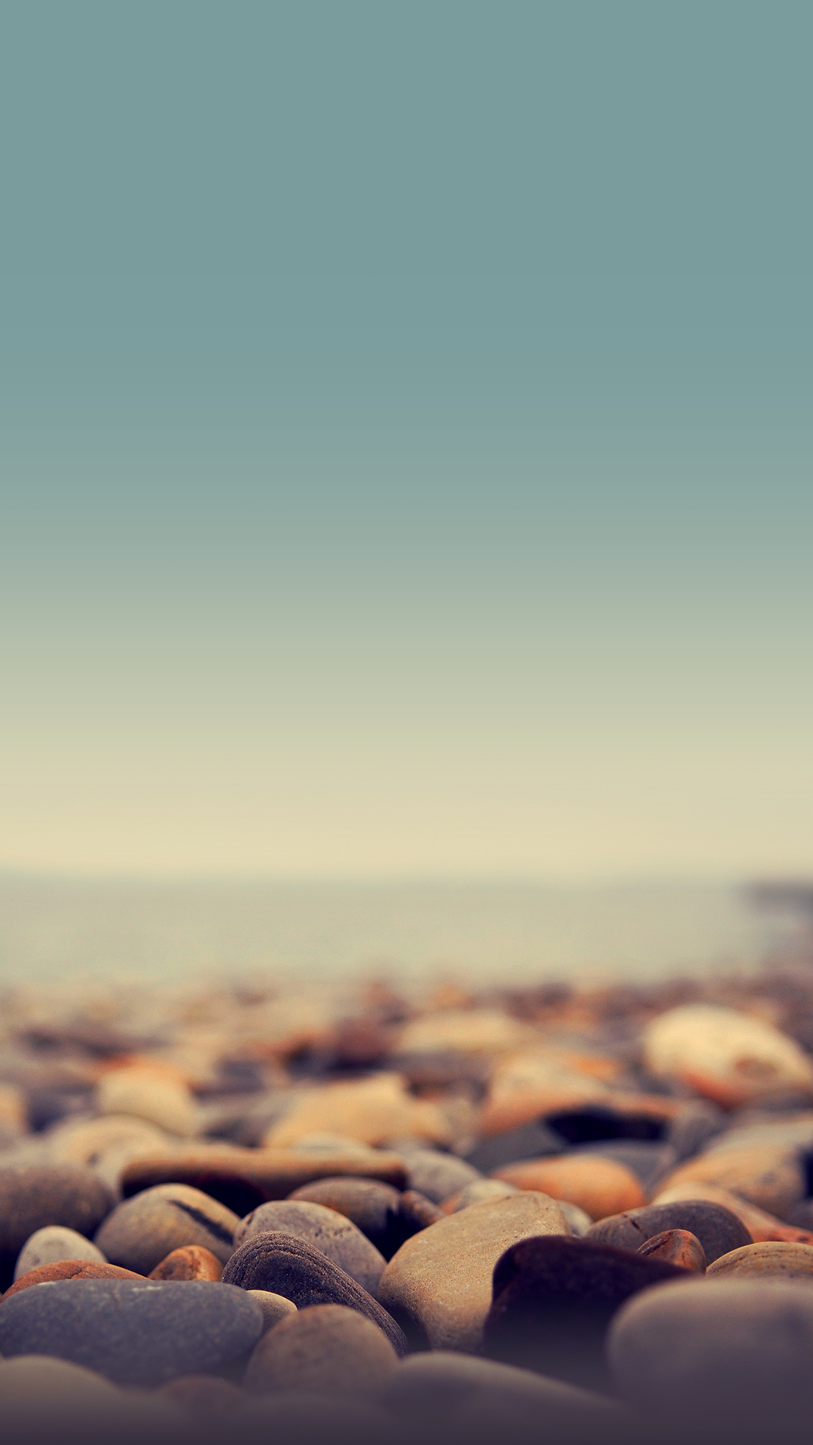 There is a small bird sitting on a pile of rocks (beach, beauty nature, stones, summer)