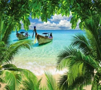 beach, tropical wallpaper