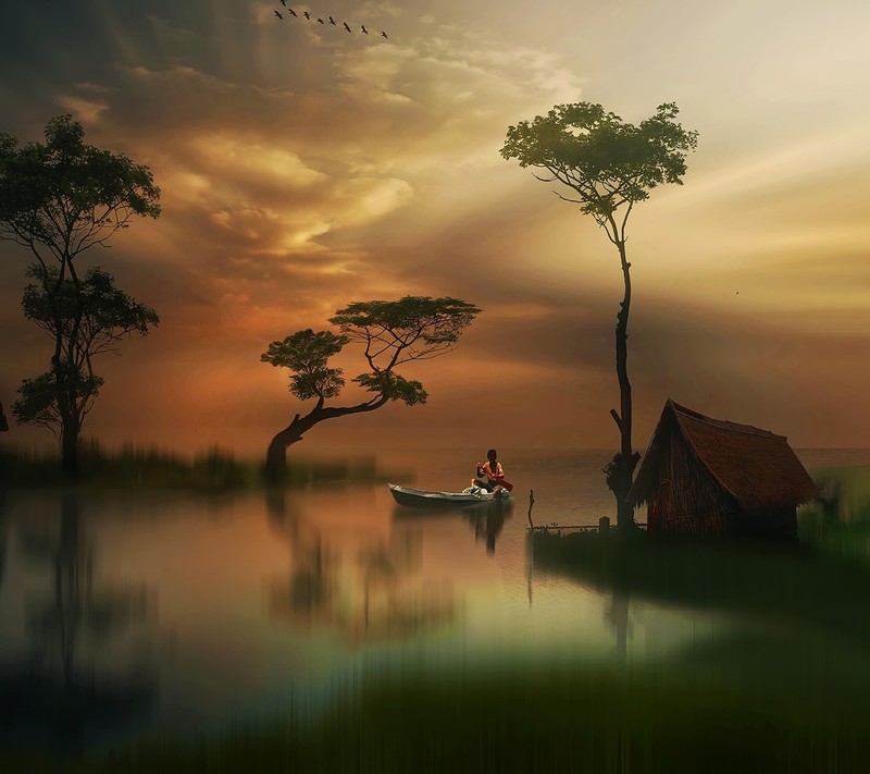 Il y a un homme dans un bateau sur l'eau près d'un arbre (paysage, nature)