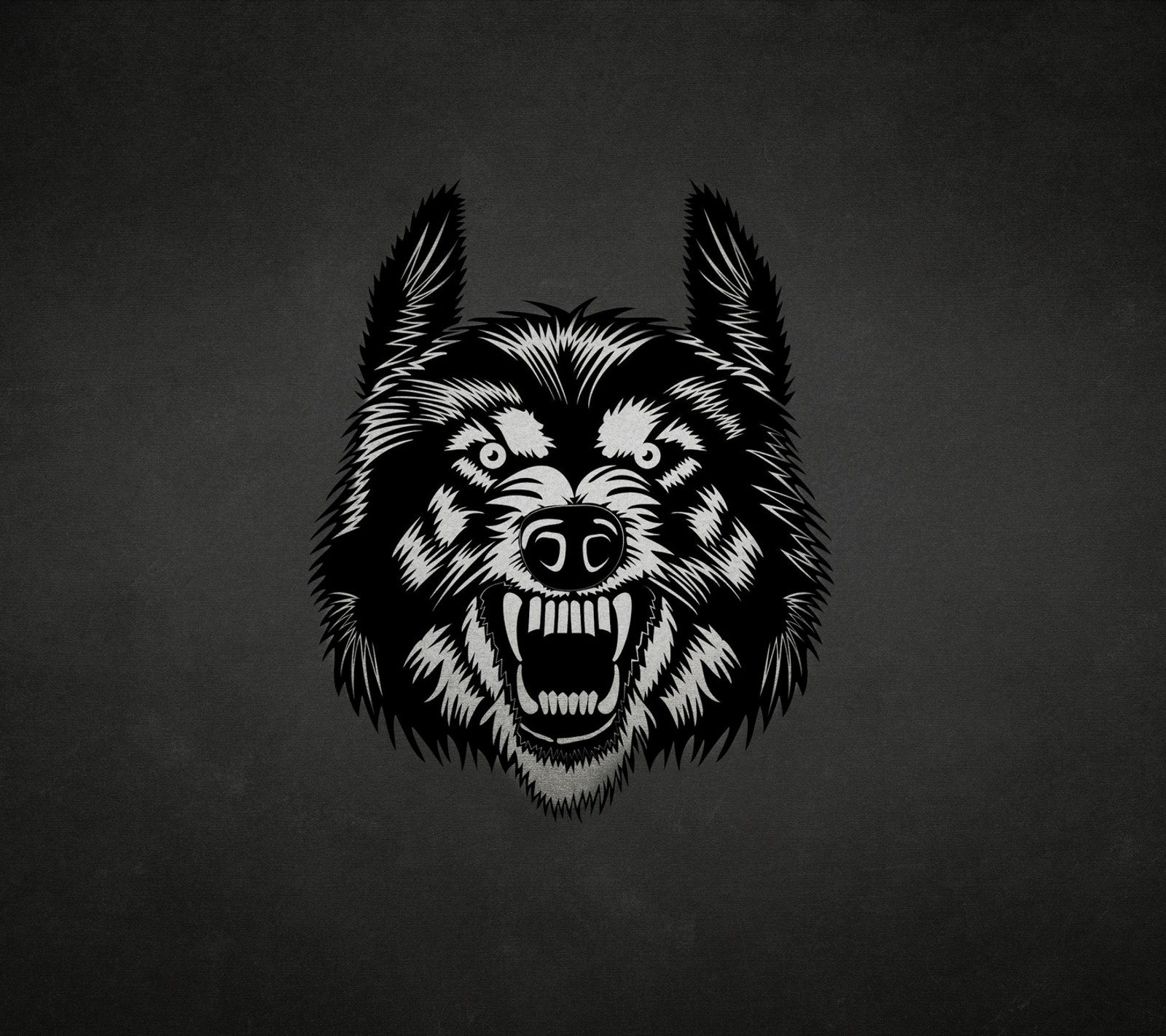 A close up of a black and white wolf head on a black background (abej, beograd, wolf)