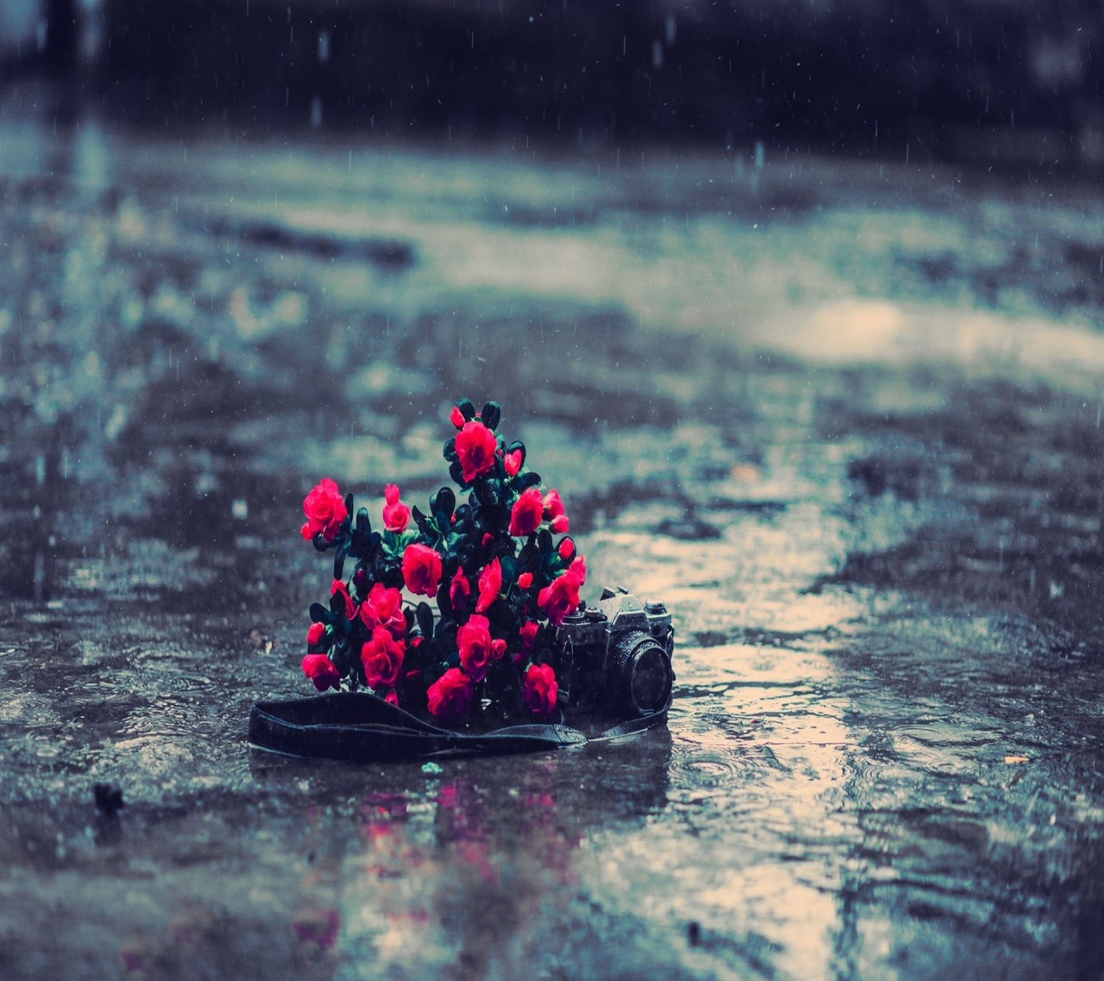 Il y a un petit bouquet de fleurs rouges sur une assiette noire (seul, sentiments, cadeau, cœur, amour)