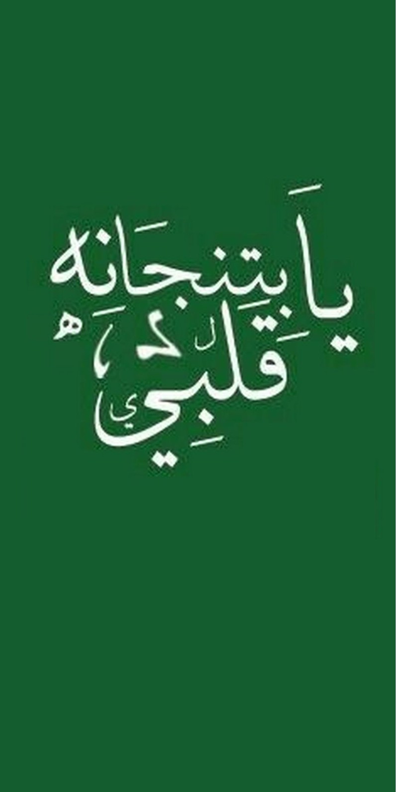 Зеленая книга с арабскими письменами (арабский, прекрасно, зелёный, волосы, ненависть)