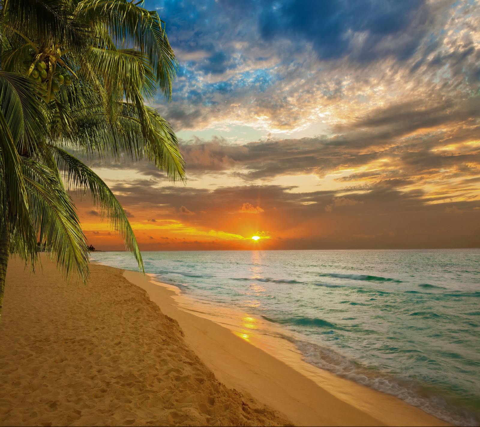 Arafed palm tree on the beach at sunset with the sun setting (abej, beograd, sunset beach)