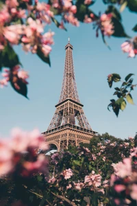 Eiffel Tower Framed by Blossoming Flowers