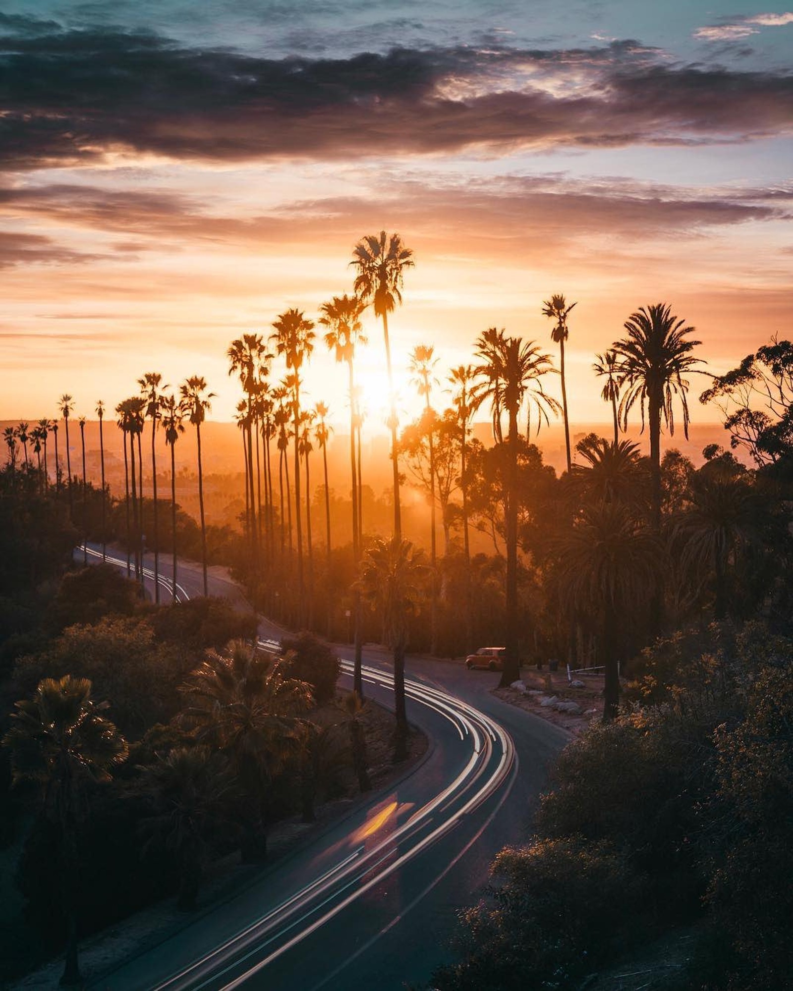 Une vue d'une rue avec des palmiers et un coucher de soleil (automne, californie, california, coloré, fahad nur)