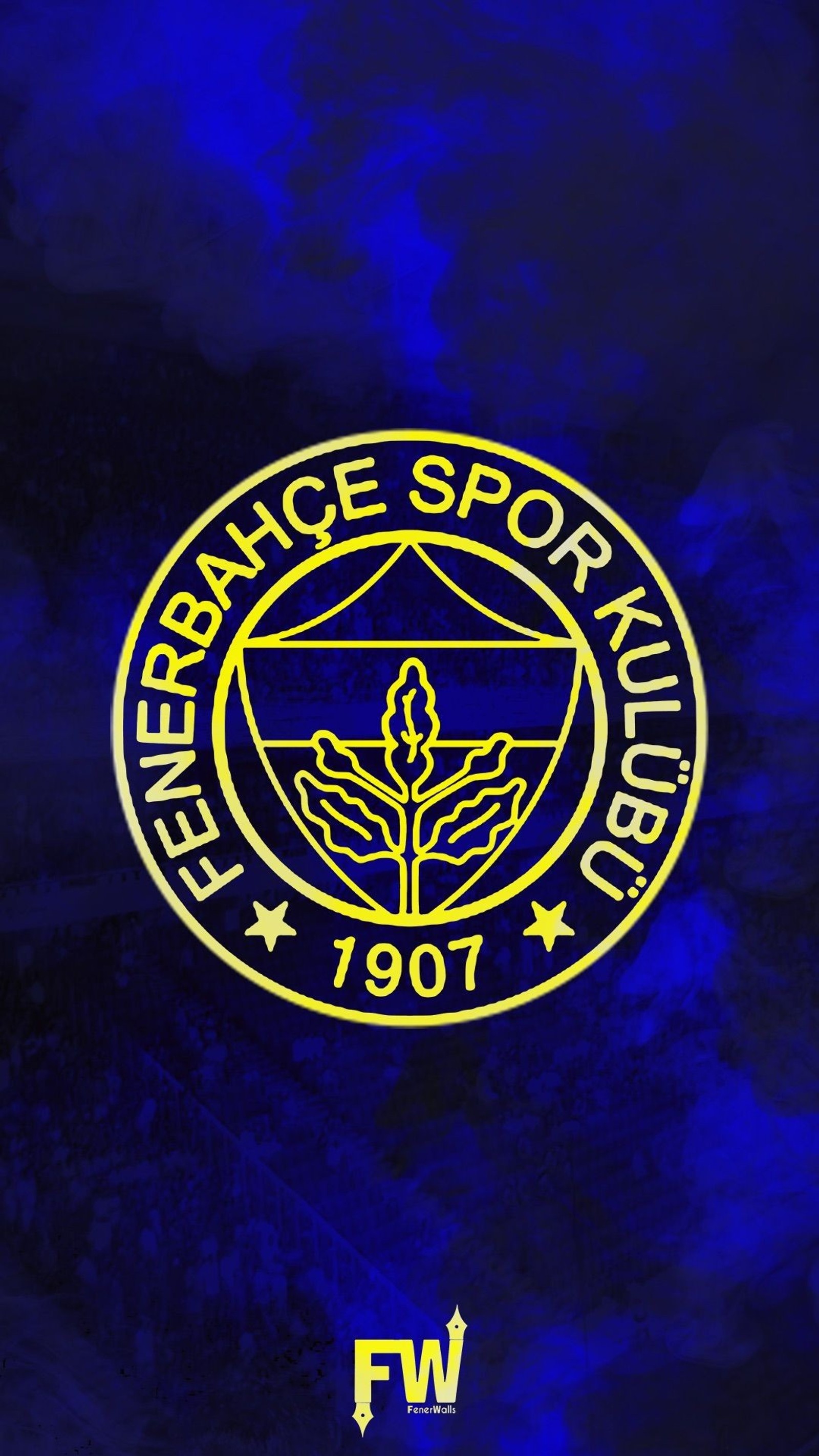 Téléchargez le fond d'écran fenerbahçe, hce