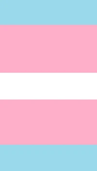 Transgender-Pride-Flagge: Darstellung von Gleichheit und Identität