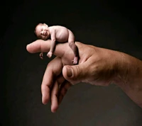 Newborn Baby Resting on Adult Finger