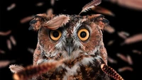 Close-up of a great horned owl surrounded by falling feathers, showcasing its striking yellow eyes and intricate plumage against a dark background.