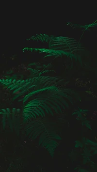 Emerald Ferns in Dark Biome