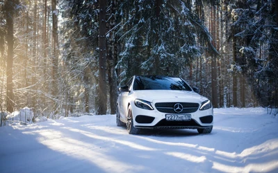 Mercedes-Benz C-Class in a snowy forest setting.