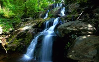 Cascade sereine dévalant un terrain rocheux dans une verdure luxuriante