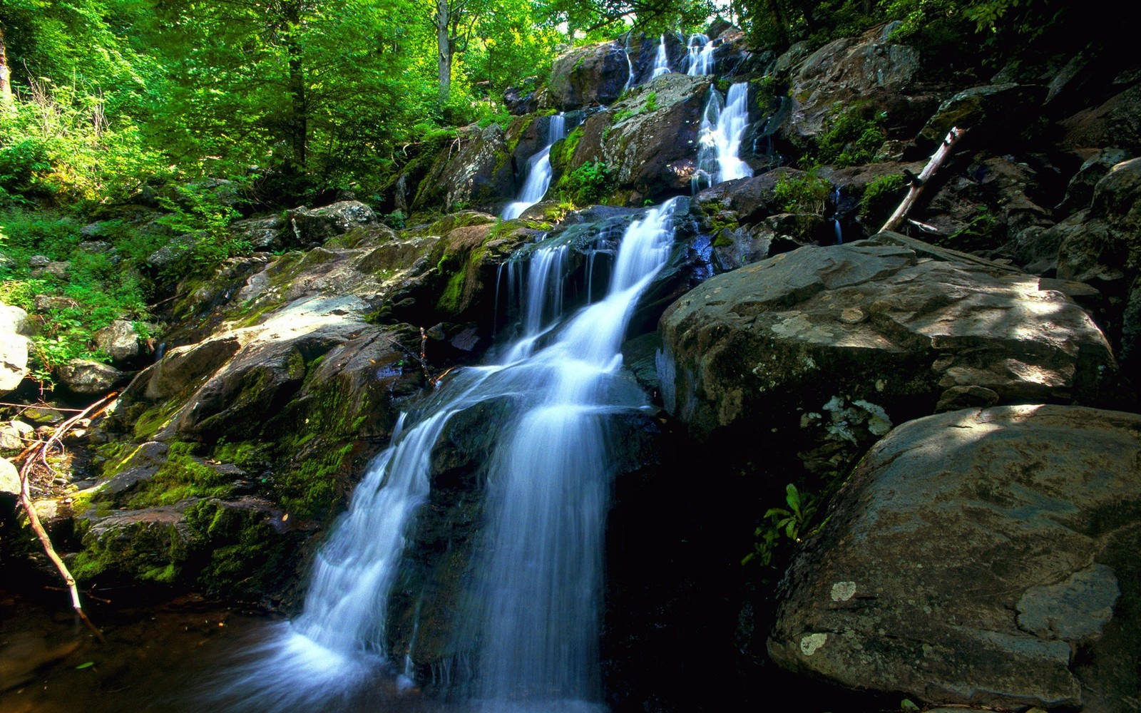 A close up of a waterfall in a forest with rocks and trees (american falls, waterfall, water resources, body of water, nature)